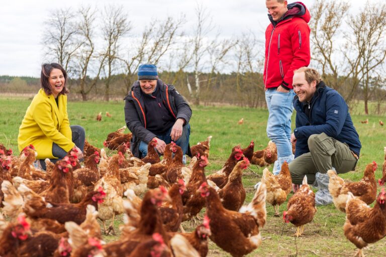 Mobile Stallhaltung von Hühnern und regionale Vermarktung – Hier gewinnen alle